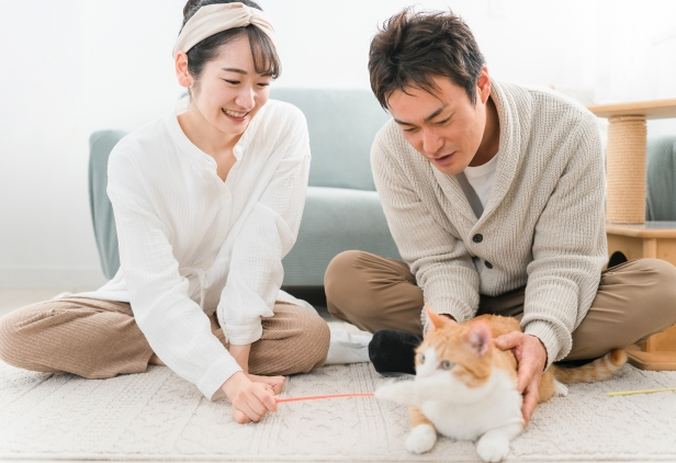 時の神様の贈りものの紹介写真_2枚目